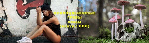 бошки Всеволожск