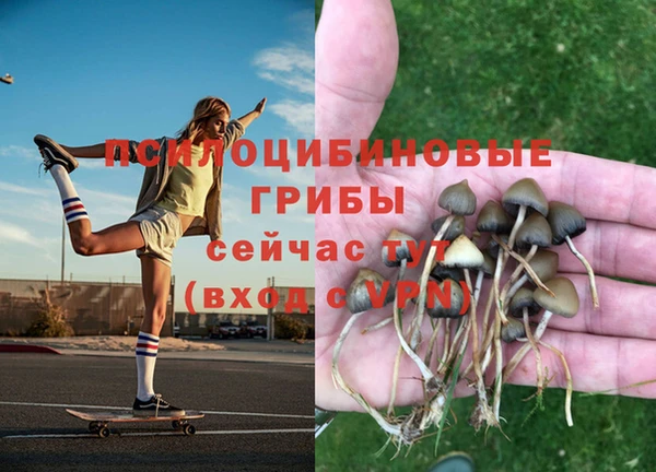наркотики Заводоуковск