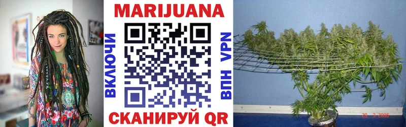 Каннабис ГИДРОПОН Зерноград